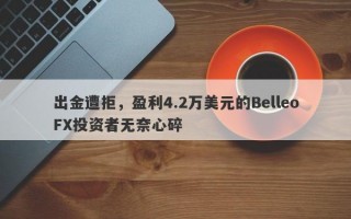 出金遭拒，盈利4.2万美元的BelleoFX投资者无奈心碎