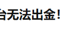 德璞越发疯狂了！软件开发公司也能做外汇？