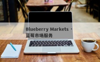 Blueberry Markets · 蓝莓市场服务