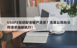 USGFX拒绝配合破产清算？清算公司向法院请求强制执行！