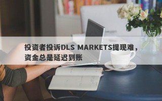 投资者投诉DLS MARKETS提现难，资金总是延迟到账