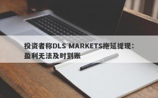 投资者称DLS MARKETS拖延提现：盈利无法及时到账