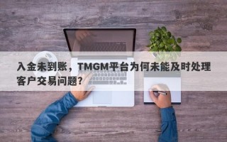 入金未到账，TMGM平台为何未能及时处理客户交易问题？