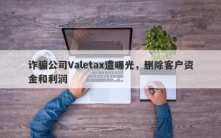 诈骗公司Valetax遭曝光，删除客户资金和利润