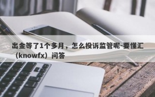 出金等了1个多月，怎么投诉监管呢-要懂汇（knowfx）问答