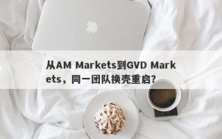 从AM Markets到GVD Markets，同一团队换壳重启？