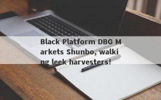 Black Platform DBG Markets Shunbo, walking leek harvesters!