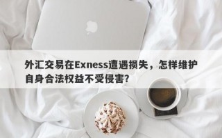 外汇交易在Exness遭遇损失，怎样维护自身合法权益不受侵害？