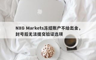 NXG Markets冻结账户不给出金，封号后无法提交验证选项