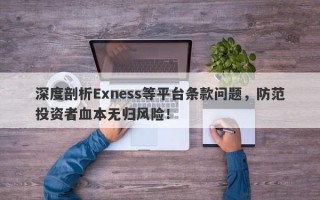 深度剖析Exness等平台条款问题，防范投资者血本无归风险！