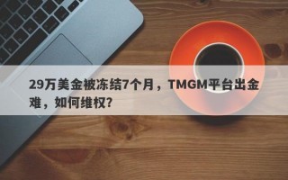 29万美金被冻结7个月，TMGM平台出金难，如何维权？