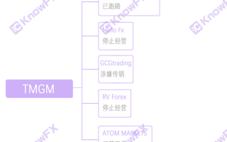 外汇券商TMGM都已经上了法制新闻，却还有很多投资人被骗入金！！