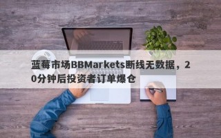 蓝莓市场BBMarkets断线无数据，20分钟后投资者订单爆仓