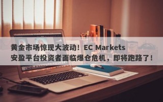 黄金市场惊现大波动！EC Markets安盈平台投资者面临爆仓危机，即将跑路了！