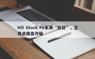 Hit Stock Fx未满“百日”，正用杀猪盘诈骗