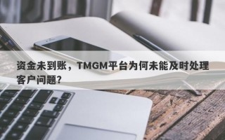 资金未到账，TMGM平台为何未能及时处理客户问题？