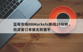 蓝莓市场BBMarkets断线20分钟，投资者订单被无故强平