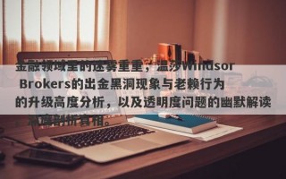 金融领域里的迷雾重重，温莎Windsor Brokers的出金黑洞现象与老赖行为的升级高度分析，以及透明度问题的幽默解读。深度剖析真相。