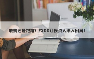 收购还是跑路？FXDD让投资人陷入困局！