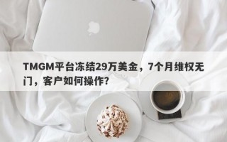 TMGM平台冻结29万美金，7个月维权无门，客户如何操作？