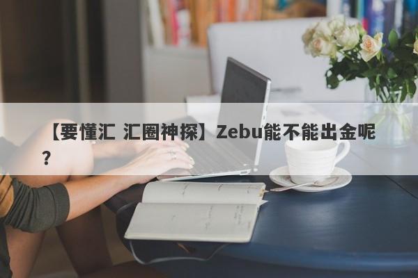 【要懂汇 汇圈神探】Zebu能不能出金呢？
-第1张图片-要懂汇圈网