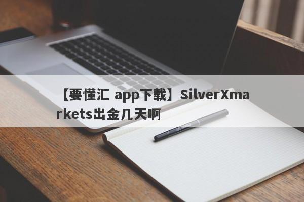 【要懂汇 app下载】SilverXmarkets出金几天啊
-第1张图片-要懂汇圈网