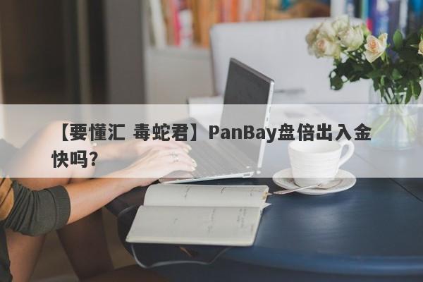 【要懂汇 毒蛇君】PanBay盘倍出入金快吗？
-第1张图片-要懂汇圈网