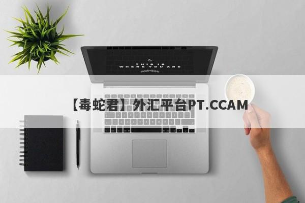 【毒蛇君】外汇平台PT.CCAM
-第1张图片-要懂汇圈网