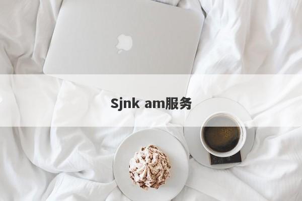 Sjnk am服务-第1张图片-要懂汇圈网