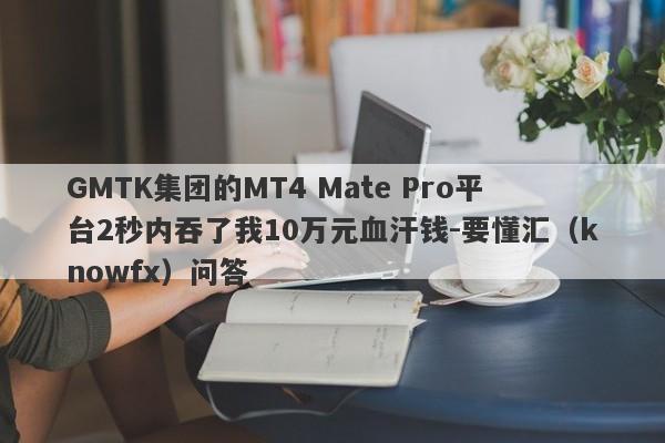 GMTK集团的MT4 Mate Pro平台2秒内吞了我10万元血汗钱-要懂汇（knowfx）问答-第1张图片-要懂汇圈网