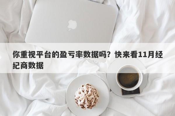 你重视平台的盈亏率数据吗？快来看11月经纪商数据-第1张图片-要懂汇圈网