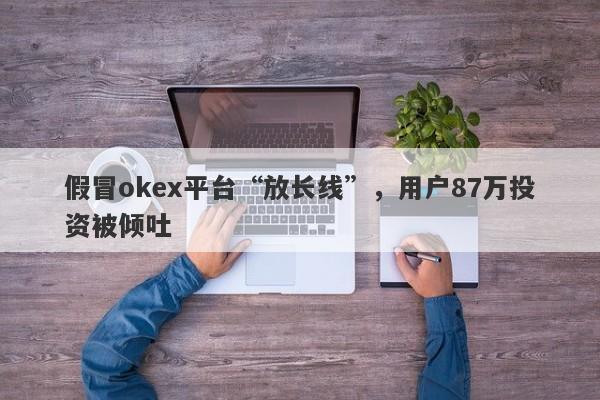 假冒okex平台“放长线”，用户87万投资被倾吐-第1张图片-要懂汇圈网