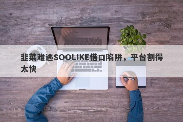 韭菜难逃SOOLIKE借口陷阱，平台割得太快-第1张图片-要懂汇圈网