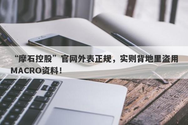 “摩石控股”官网外表正规，实则背地里盗用MACRO资料！-第1张图片-要懂汇圈网