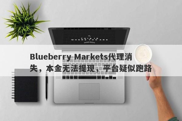 Blueberry Markets代理消失，本金无法提现，平台疑似跑路-第1张图片-要懂汇圈网