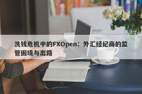 洗钱危机中的FXOpen：外汇经纪商的监管困境与出路-第1张图片-要懂汇圈网