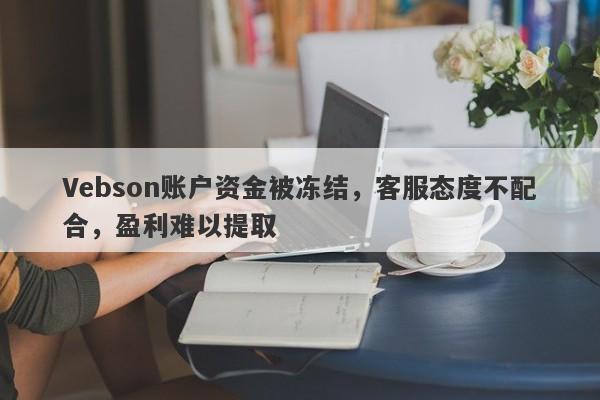 Vebson账户资金被冻结，客服态度不配合，盈利难以提取-第1张图片-要懂汇圈网