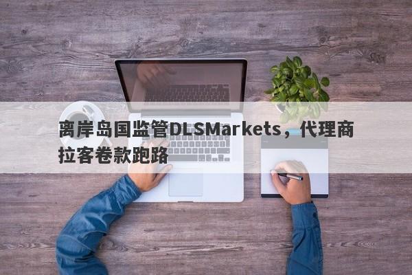 离岸岛国监管DLSMarkets，代理商拉客卷款跑路-第1张图片-要懂汇圈网