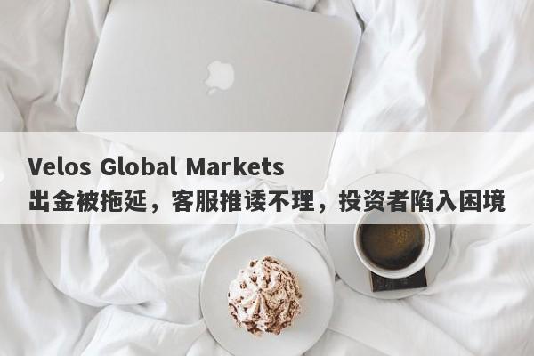 Velos Global Markets出金被拖延，客服推诿不理，投资者陷入困境-第1张图片-要懂汇圈网