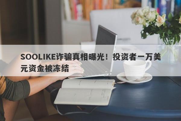 SOOLIKE诈骗真相曝光！投资者一万美元资金被冻结-第1张图片-要懂汇圈网