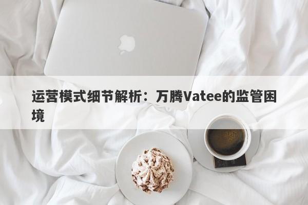 运营模式细节解析：万腾Vatee的监管困境-第1张图片-要懂汇圈网